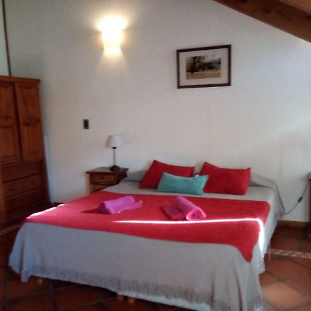 Departamento En Apart Pequena Comarca Appartamento San Martín de los Andes Esterno foto