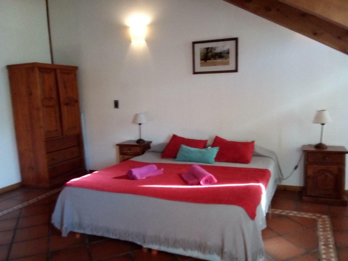 Departamento En Apart Pequena Comarca Appartamento San Martín de los Andes Esterno foto